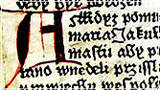 A close up of a medieval manuscript showing words in another language. The words make no sense.